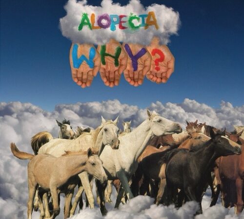 WHY? – Alopecia