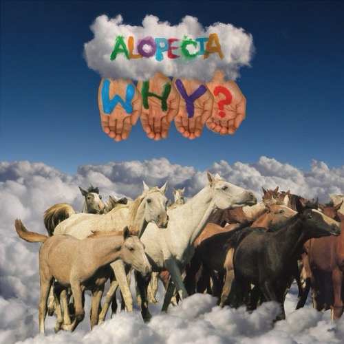 WHY? – Alopecia