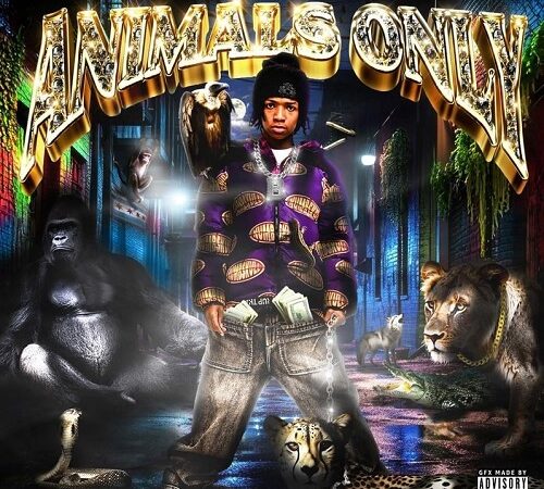 BABYCHIEFDOIT – Animals Only