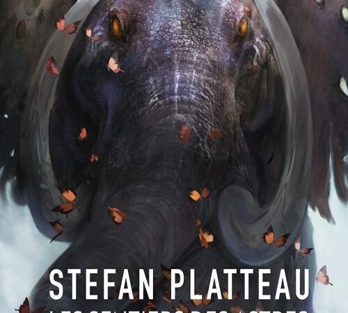 STEFAN PLATTEAU – Meijo