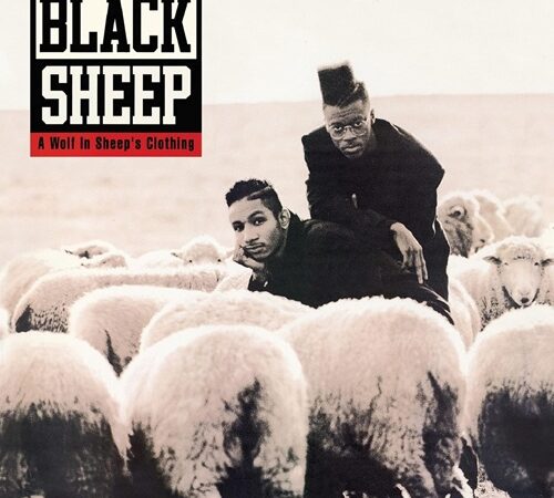 BLACK SHEEP – A Wolf In Sheep’s Clothing