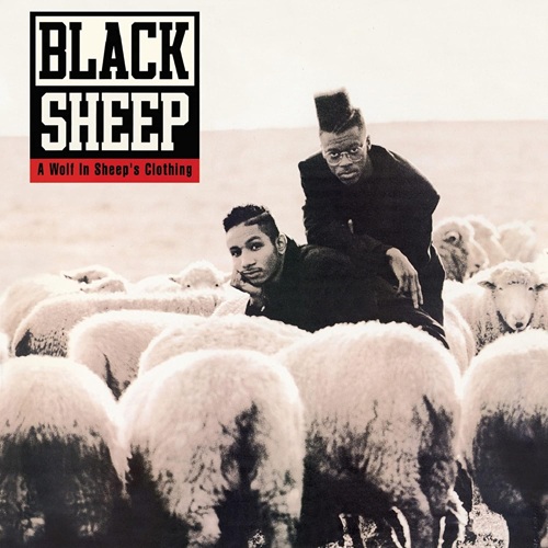 BLACK SHEEP – A Wolf In Sheep’s Clothing