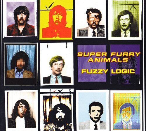 SUPER FURRY ANIMALS – Fuzzy Logic
