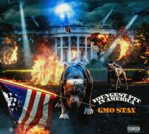 GMO STAX – Youngest Pit In America (Deluxe)