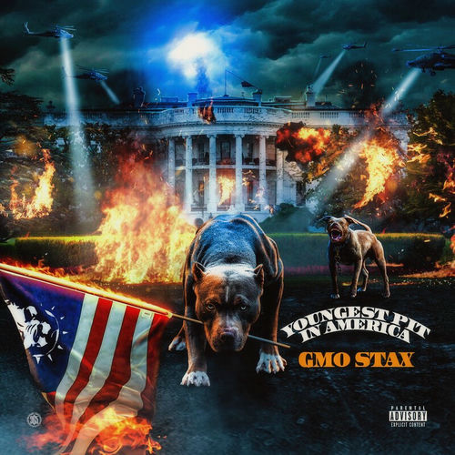 GMO STAX – Youngest Pit In America (Deluxe)