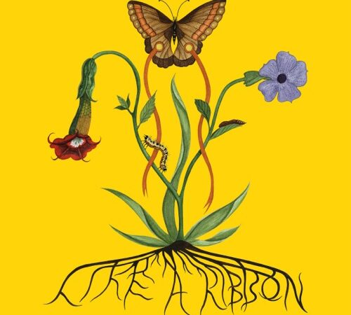 JOHN GLACIER – Like A Ribbon