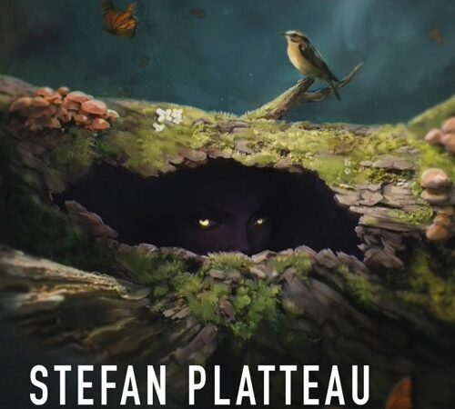 STEFAN PLATTEAU – Jaunes Yeux