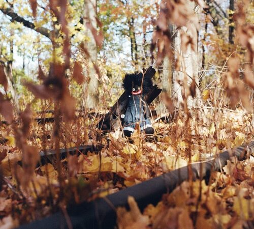 BILLY WOODS – Golliwog