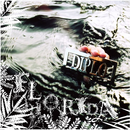 DIPLO – Florida