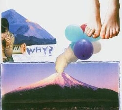 WHY? – Elephant Eyelash