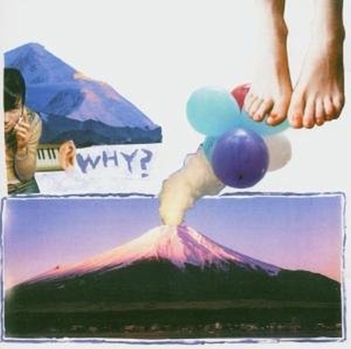 WHY? – Elephant Eyelash