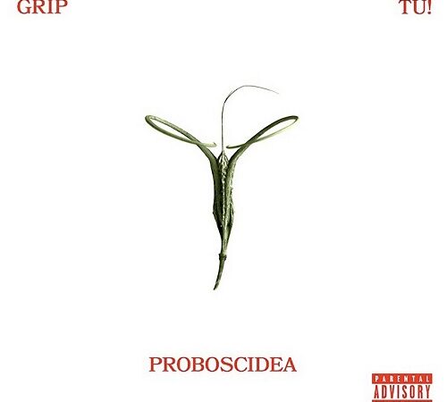 GRIP & TU! – Proboscidea