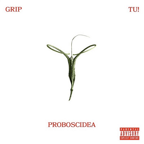 GRIP & TU! – Proboscidea