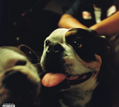 KENNY MASON – Bulldawg